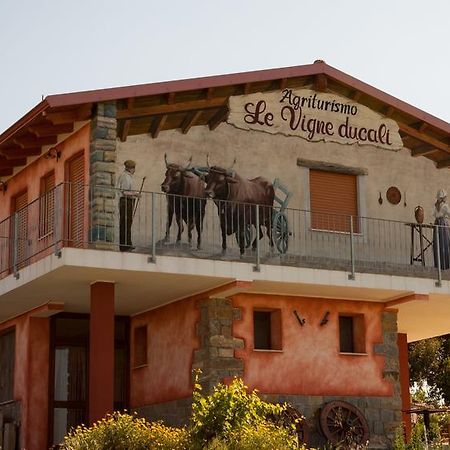 Agriturismo Le Vigne Ducali Màndas Eksteriør billede