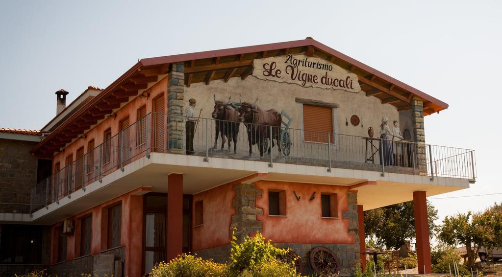 Agriturismo Le Vigne Ducali Màndas Eksteriør billede